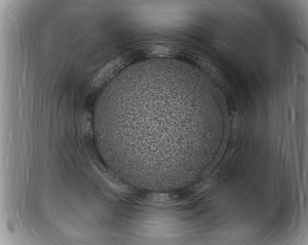 X0000102360361200808081135