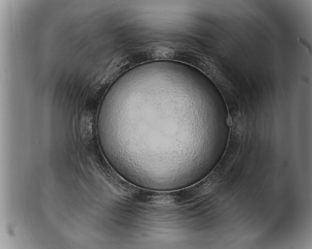 X0000102360363200808081135