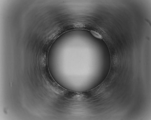 X0000102360364200808081135