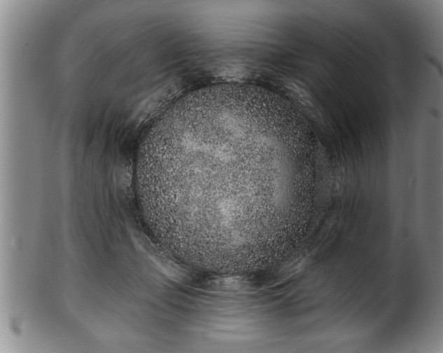 X0000102360365200808081135