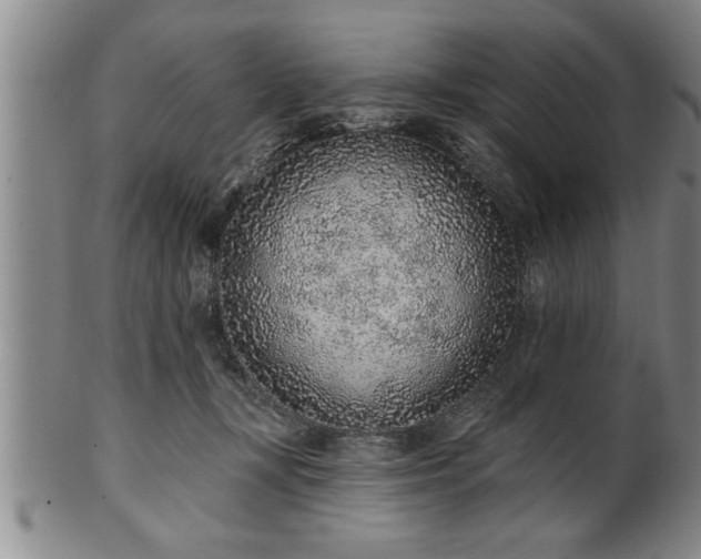 X0000102360367200808081135