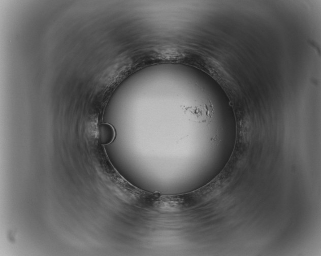 X0000102360368200808081135