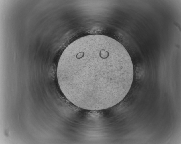 X0000102360370200808081135