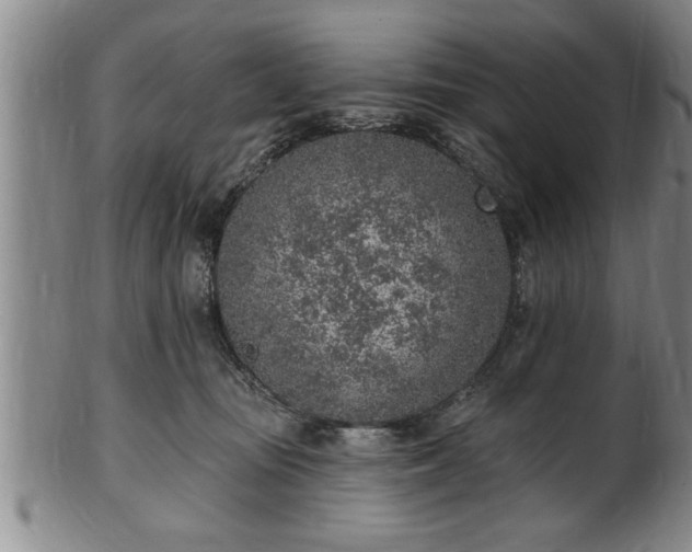 X0000102360371200808081135