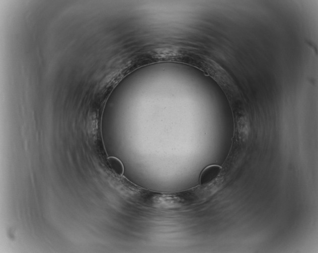 X0000102360372200808081135