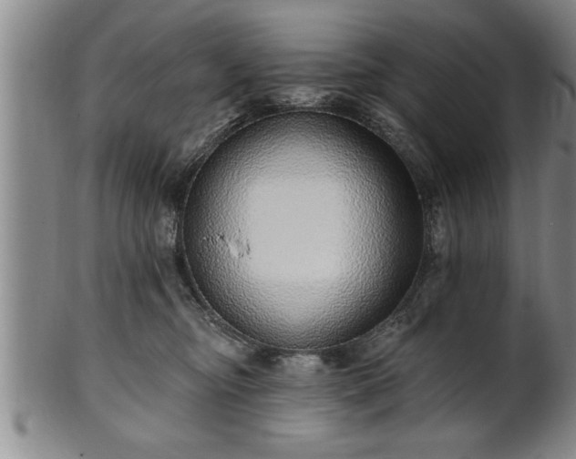 X0000102360374200808081135