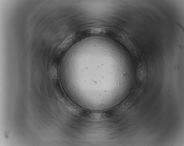 X0000102360375200808081135