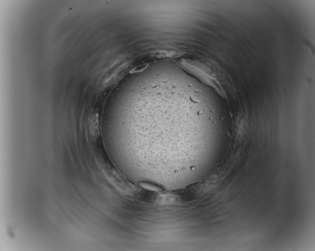 X0000102360376200808081135