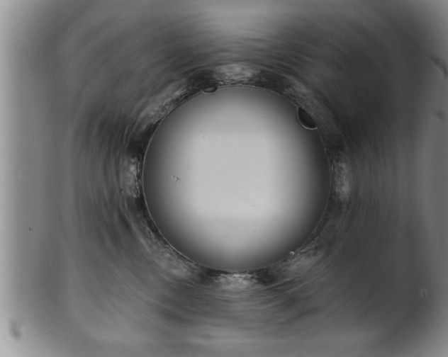 X0000102360378200808081135