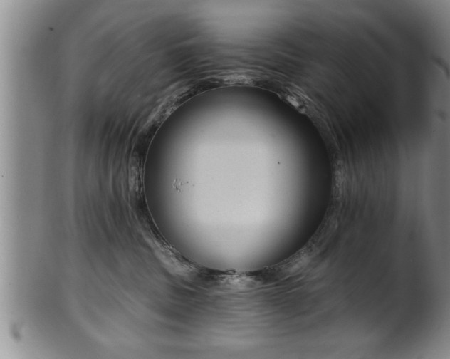 X0000102360379200808081135