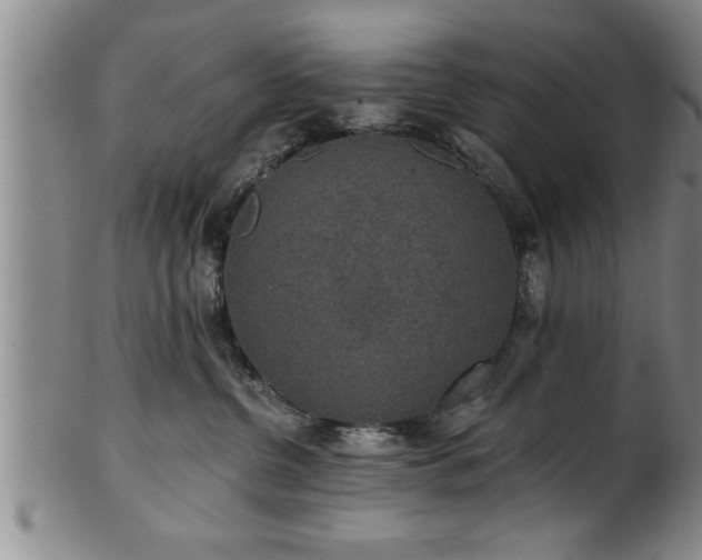 X0000102360380200808081135