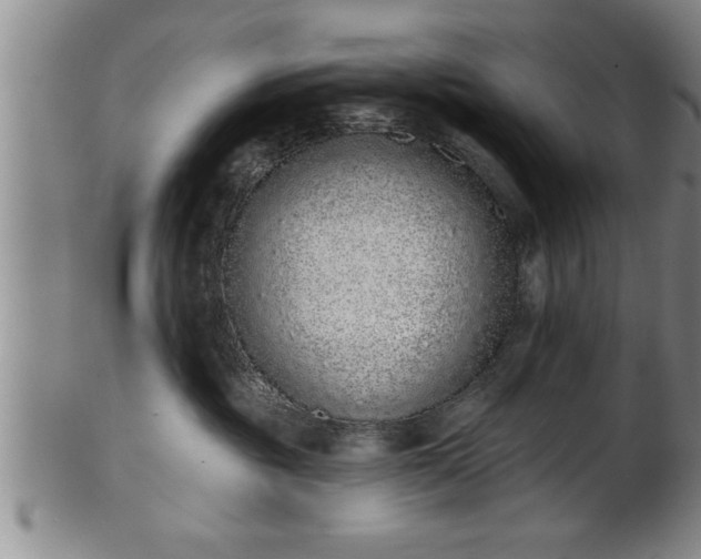 X0000102360381200808081135