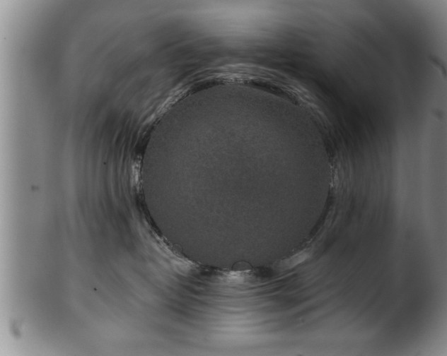 X0000102360382200808081136