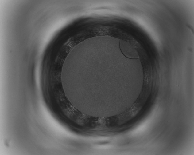 X0000102360383200808081136