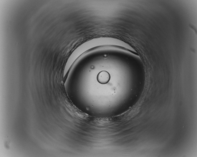 X0000102360384200808081136