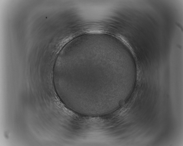 X0000102360385200808081135