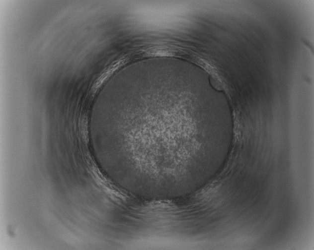 X0000102360386200808081135