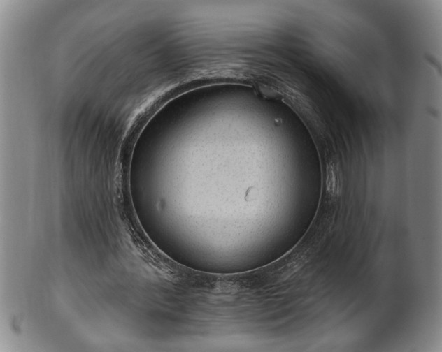 X0000102360388200808081135