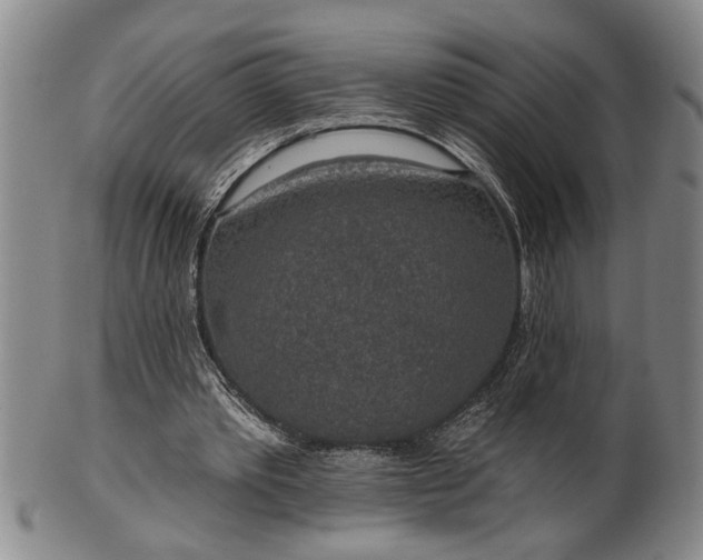 X0000102360389200808081135