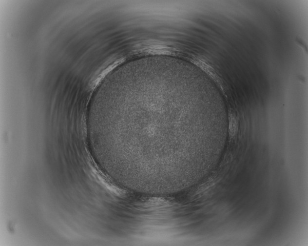 X0000102360390200808081135