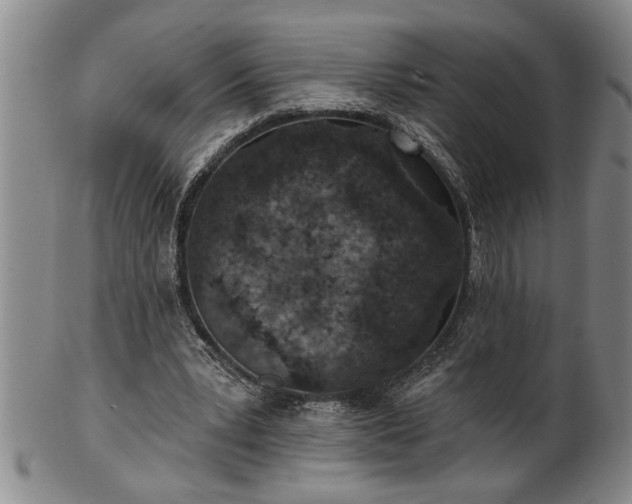 X0000102360391200808081135