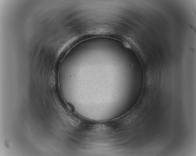 X0000102360392200808081135