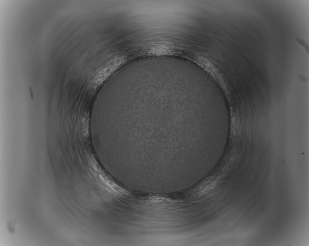 X0000102360393200808081135