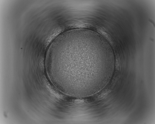 X0000102360394200808081135