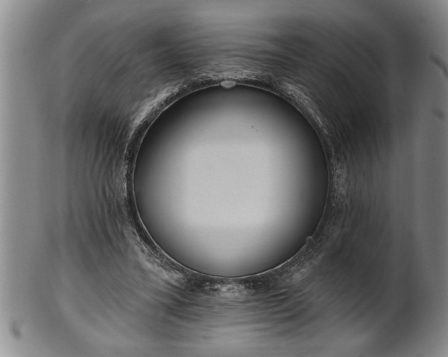 X0000102360395200808081135