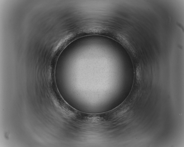 X0000102360396200808081135