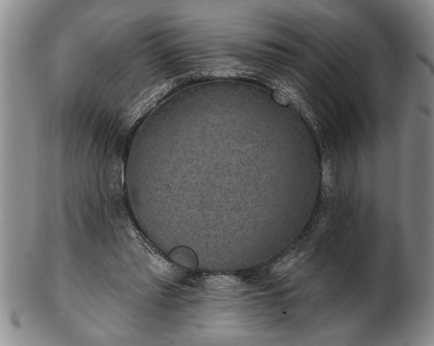 X0000102360397200808081135