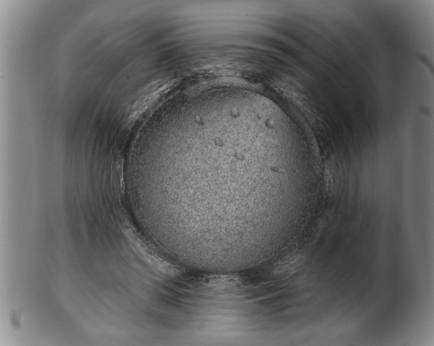 X0000102360398200808081135