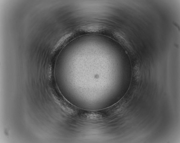 X0000102360400200808081135