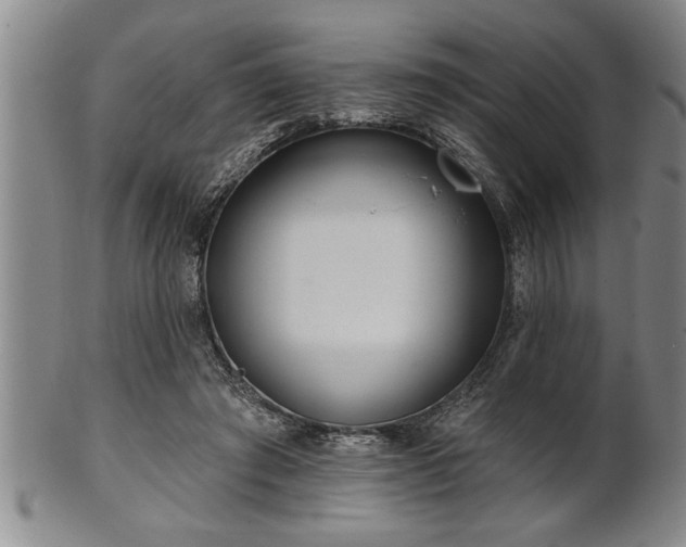 X0000102360401200808081135