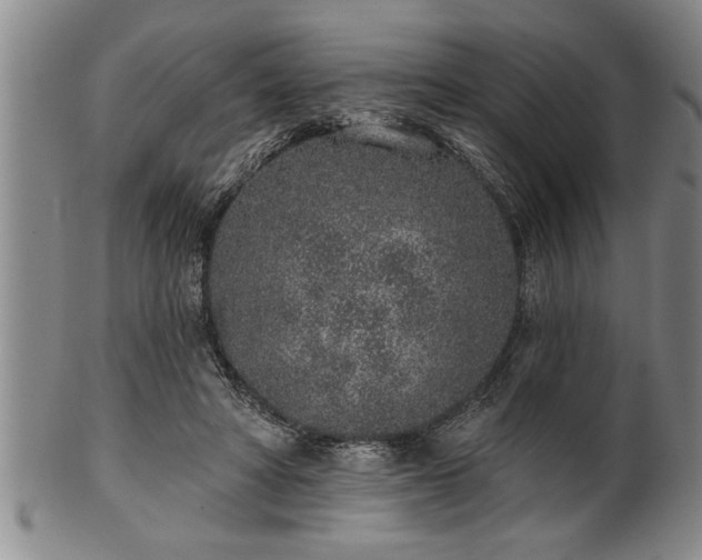 X0000102360402200808081135