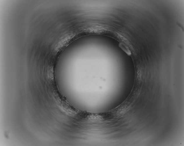 X0000102360403200808081135