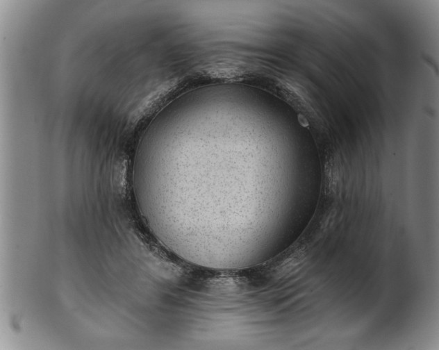 X0000102360404200808081135