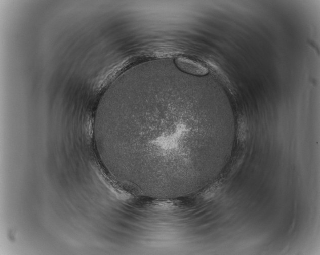 X0000102360405200808081135