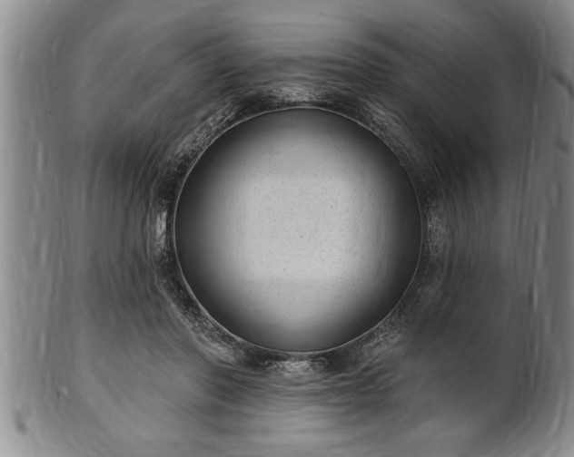 X0000102360406200808081135