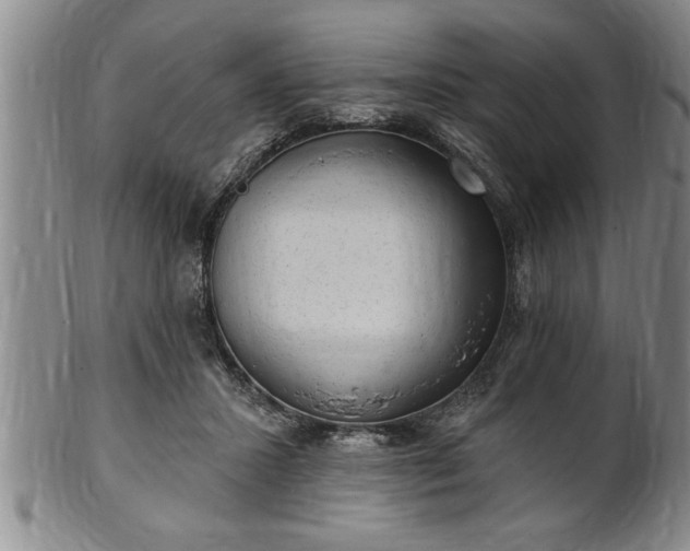 X0000102360407200808081135