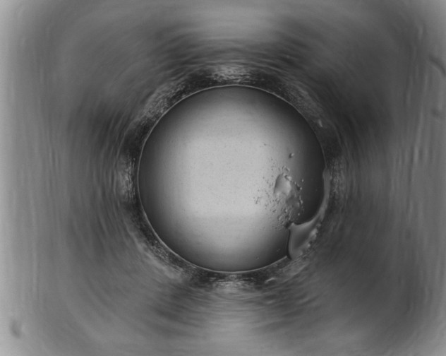 X0000102360408200808081135