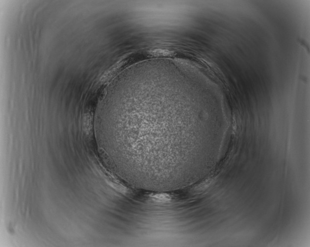 X0000102360409200808081135