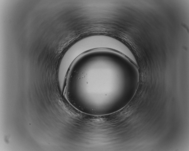 X0000102360411200808081134