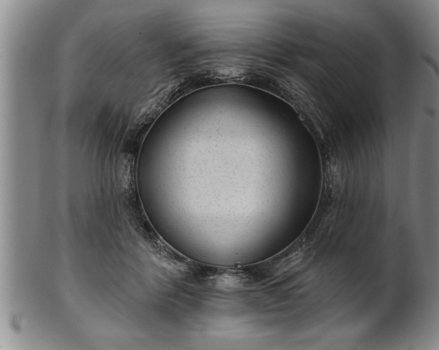 X0000102360412200808081134