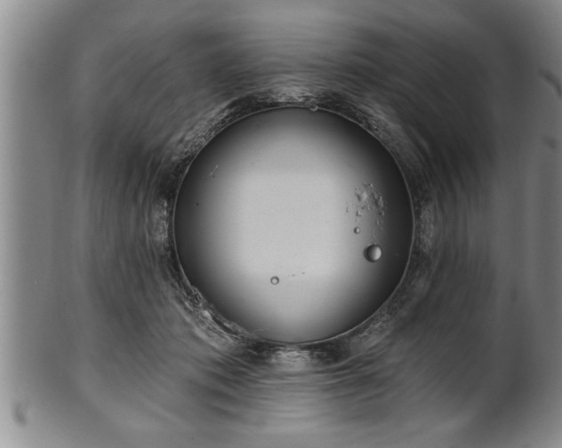 X0000102360413200808081134