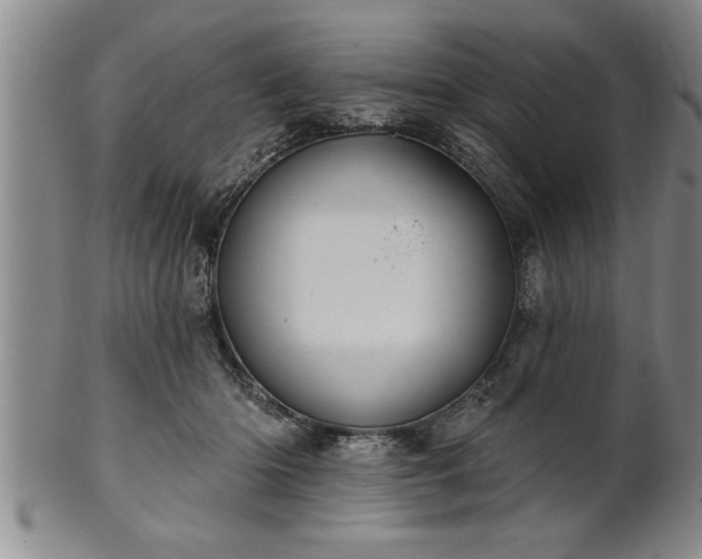 X0000102360414200808081134