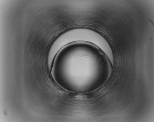 X0000102360415200808081134