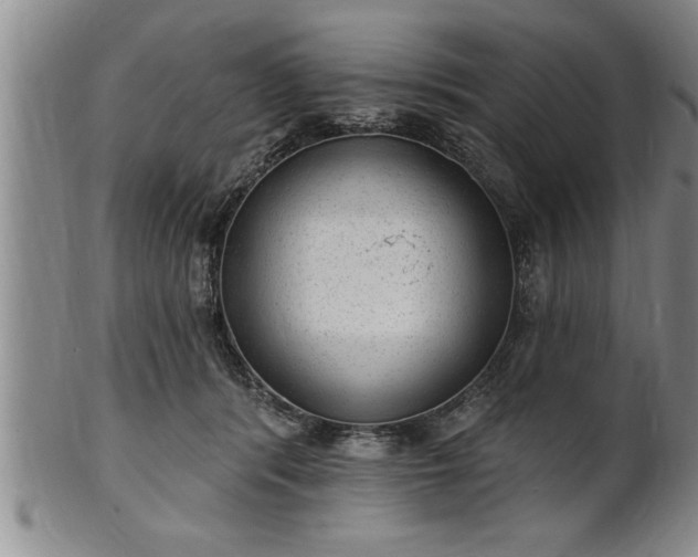 X0000102360416200808081134