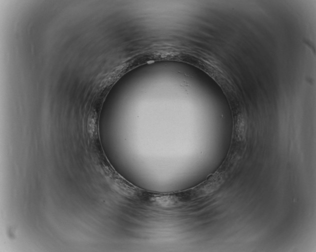 X0000102360417200808081134