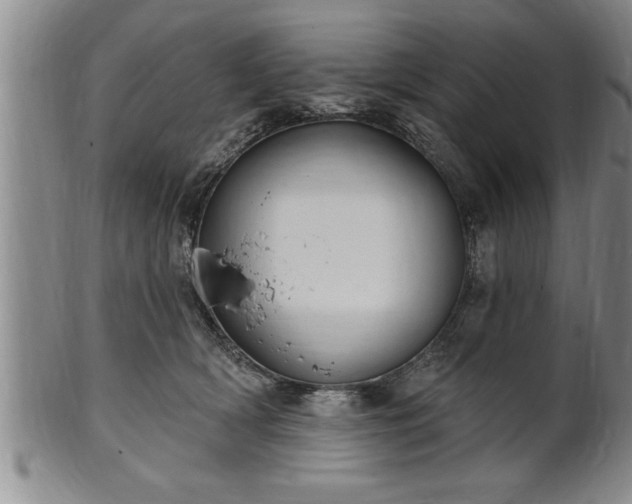 X0000102360418200808081134